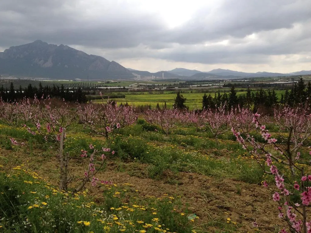 Dar Salima Bed & Breakfast Mornag