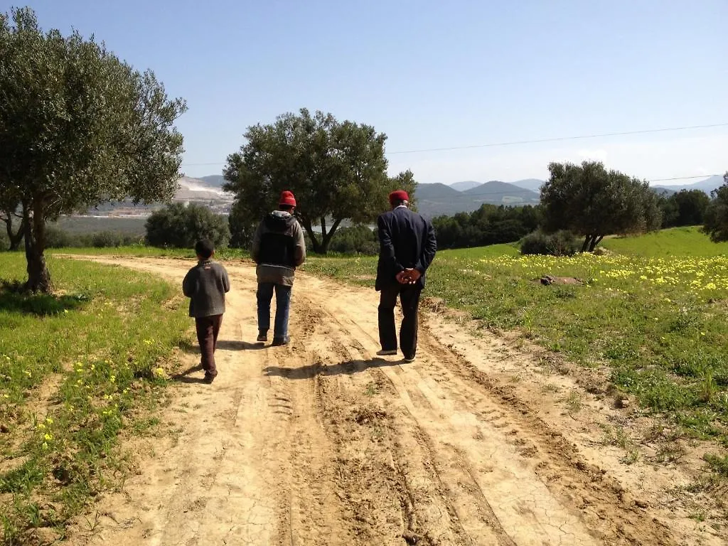 Dar Salima Bed & Breakfast Mornag