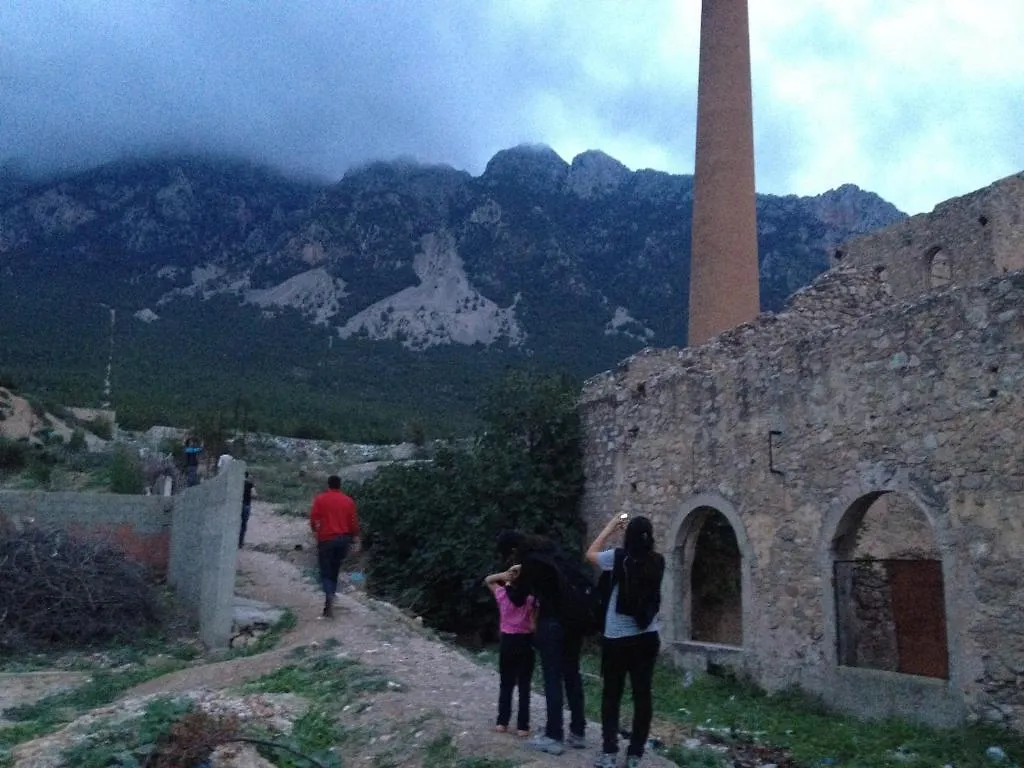 Dar Salima Bed & Breakfast Mornag