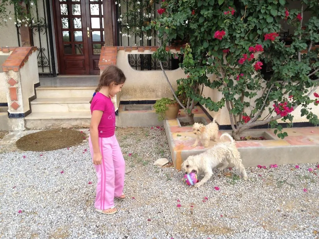 Dar Salima Bed & Breakfast Mornag